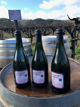 2019 Sparkling Pinot 3-pk Special (shipping included)